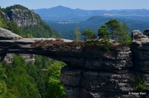 Kalksandsteinformationen  mit den  "Überlebenskünstlern"  Kiefer, Birken und Heide - Nationalpark Sächsische Schweiz